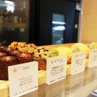 15°C（ジュウゴド）の写真・動画_image_73645