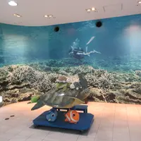 串本海中公園の写真・動画_image_736801