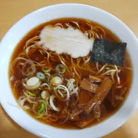 竹の家の写真・動画_image_737580