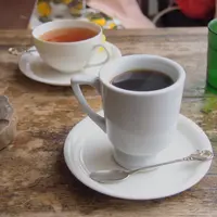 カモメのリヨンの写真・動画_image_74404