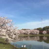 花博記念公園鶴見緑地の写真・動画_image_74773
