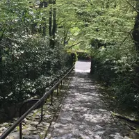 鈴虫寺（華厳寺）の写真・動画_image_75792
