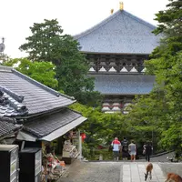奈良東大寺境四月堂の写真・動画_image_7725