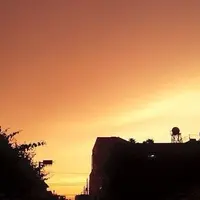 桃園川緑道の写真・動画_image_77317