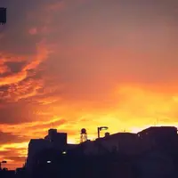 桃園川緑道の写真・動画_image_77319