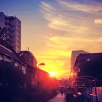 桃園川緑道の写真・動画_image_77324