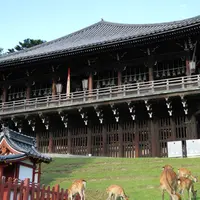 東大寺二月堂の写真・動画_image_7737