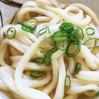 上戸うどん店の写真・動画_image_77517