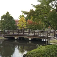 千波湖の写真・動画_image_78101