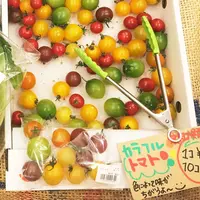 神楽坂野菜計画の写真・動画_image_79389