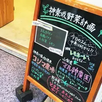 神楽坂野菜計画の写真・動画_image_79390