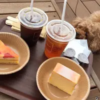 Ron Herman Cafe 逗子マリーナ店/ロンハーマンカフェの写真・動画_image_80116