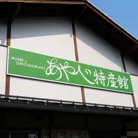 あやべグンゼスクエアの写真・動画_image_80301