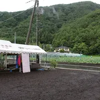河口湖・鳴沢ﾌﾞﾙｰﾍﾞﾘｰ観光農園の写真・動画_image_8285