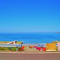 礼文島の写真・動画_image_8933