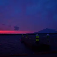 礼文島の写真・動画_image_8938