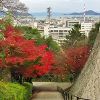 丸亀城の写真・動画_image_9263