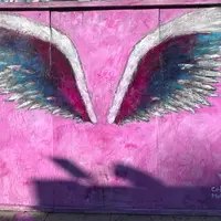 天使の羽壁画の写真・動画_image_1002839