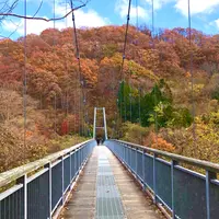 やまびこ吊り橋の写真・動画_image_1011009