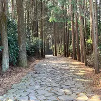 腰巻地区箱根旧街道遺跡の石畳の写真・動画_image_1015614