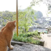 豊玉姫神社の写真・動画_image_1020079