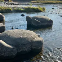 鴨川デルタの飛び石の写真・動画_image_1022315