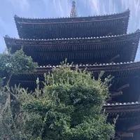 法観寺 八坂の塔の写真・動画_image_1022708