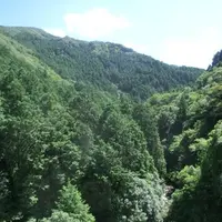 犬鳴山渓谷の写真・動画_image_1033334