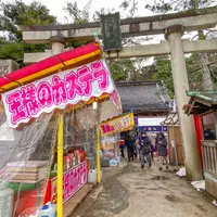 石浦神社の写真・動画_image_1047130
