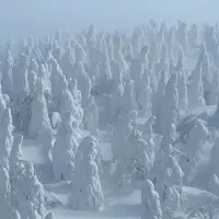 蔵王の樹氷の写真・動画_image_1059968