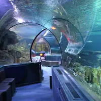 Under Water World（アンダーウォーターワールド）の写真・動画_image_1062392