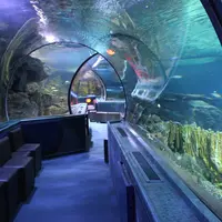Under Water World（アンダーウォーターワールド）の写真・動画_image_1062393