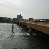 宇治橋の写真・動画_image_110302