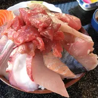 魚平食堂の写真・動画_image_1103482