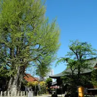 飛騨国分寺の写真・動画_image_111378