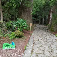 大門坂の写真・動画_image_1140737