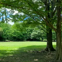 大平公園の写真・動画_image_1142213