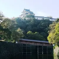 和歌山城の写真・動画_image_114558
