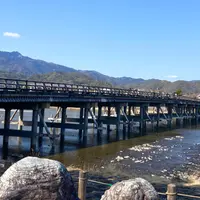 渡月橋の写真・動画_image_1154141