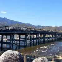 渡月橋の写真・動画_image_1154149