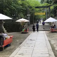 金刀比羅宮 大門の写真・動画_image_1172400