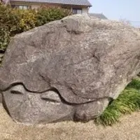 亀石の写真・動画_image_117561