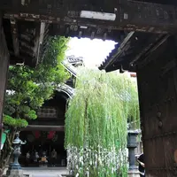 紫雲山頂法寺（六角堂）の写真・動画_image_118006