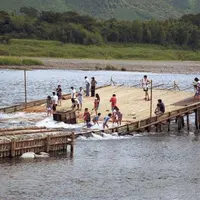 あゆの里 矢沢のヤナの写真・動画_image_118416