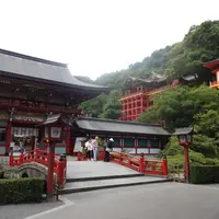 祐徳稲荷神社の写真・動画_image_118512