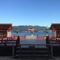 厳島神社の写真・動画_image_118537