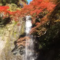 箕面の滝（箕面大滝）の写真・動画_image_119570