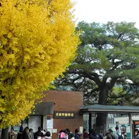 京都市動物園の写真・動画_image_120439