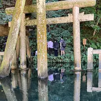 鹿島神宮の写真・動画_image_1205855