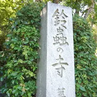 鈴虫寺（華厳寺）の写真・動画_image_121856